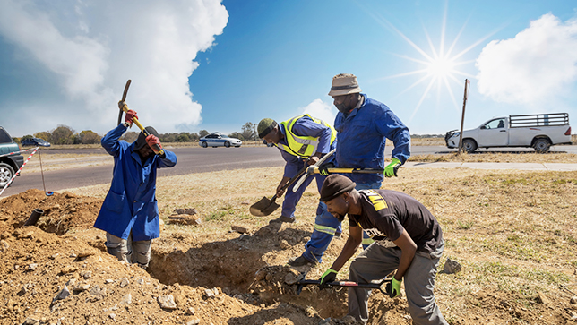 Four people are digging a hole in the ground. There is a car and a white truck in the background.