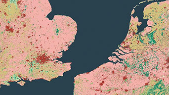 Pink land map with scattered multicolored dots in red and green