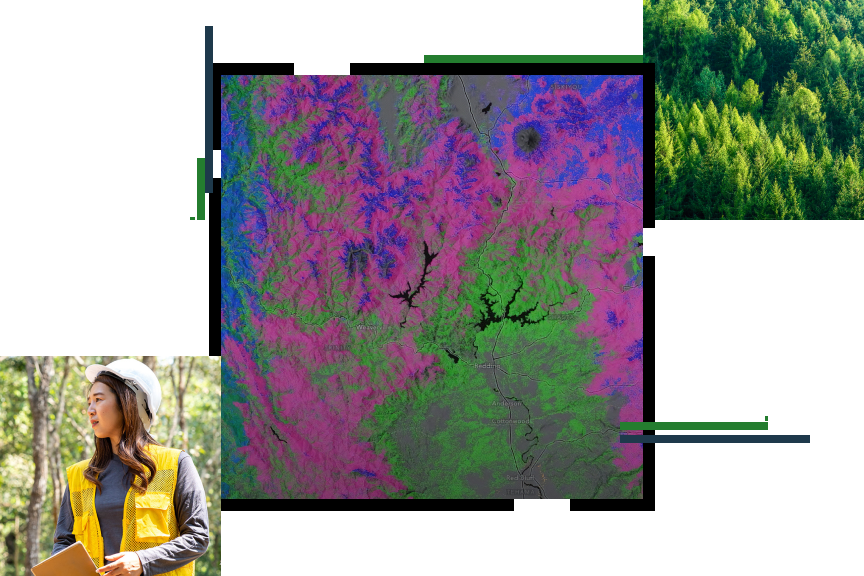 A contour map in bright blue, green, and pink, a person in a yellow vest and hard hat standing in a forest, and sunlit green treetops