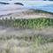 An aerial photo of a heavily forested green peninsula surrounded by deep blue waters beneath a layer of white mist