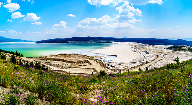 A green field with purple flowers and trees bordering a mining operation on the seaside