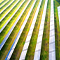 An aerial photo of a green field covered in long rows of solar panels reflecting sunlight and a bright blue sky