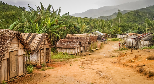 Village with thatched roof buildings in a lush landscape