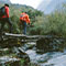 People hiking in the forest