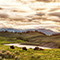 A herd of buffalo rest near a river on a grassy hillside with rolling foothills in the background