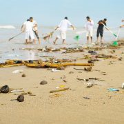 People cleaning up a beach 