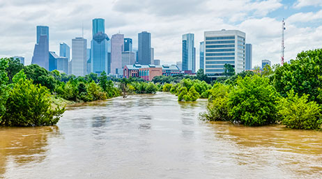 A greenery area flooded with brown water with a city in the background