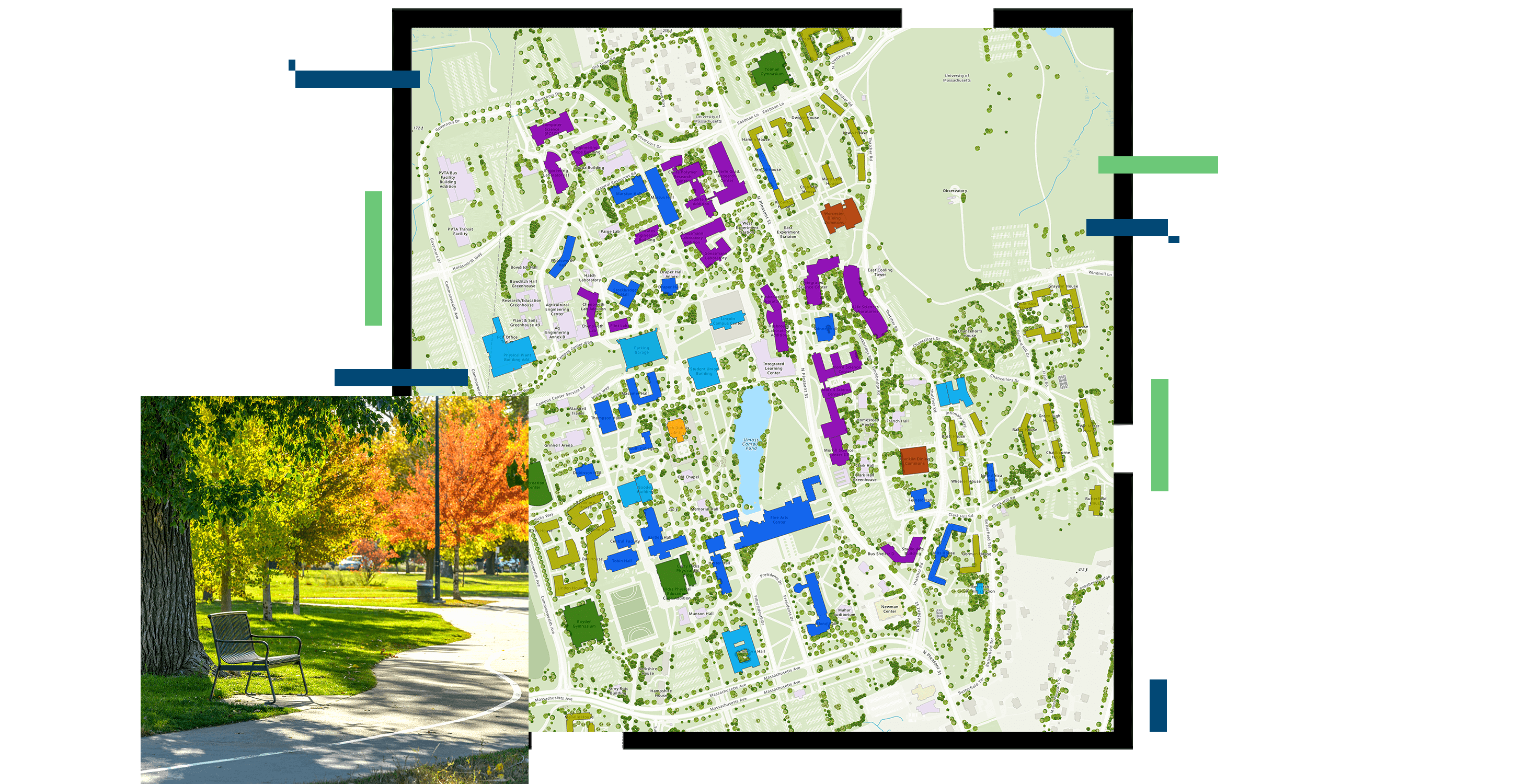 A bench underneath a tree in a sunny park during autumn, and a green map with purple, orange, and blue highlighted areas