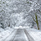 A snow-swept road with deep snowdrifts on both sides through a forest with heavily snow-laden branches