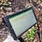 A tablet displaying an inspection form on the Survey123 app with a storm drain surrounded by brown leaves and undergrowth visible in the background