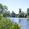 A dark metal bridge stretching across a rippling green river lined with large green trees and bushes beneath a hazy pale sky