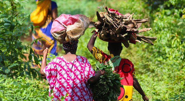 Four brightly dressed people carrying bundles on their heads walking in a line through rich green undergrowth