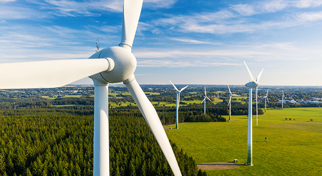 Wind turbines in a green field on the edge of a forest