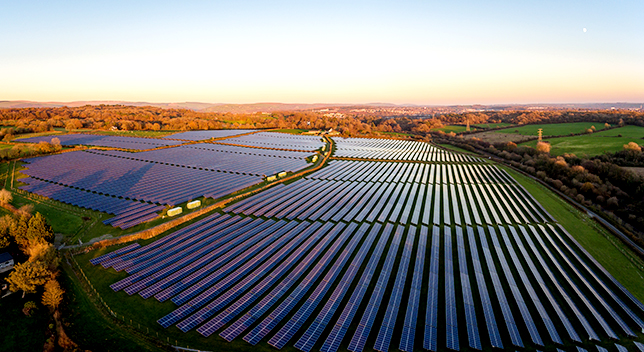 A solar farm at sunset