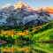 California hills with wildflowers