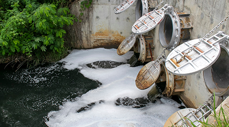 Multiple drains in a cement block opening to an area of collected water