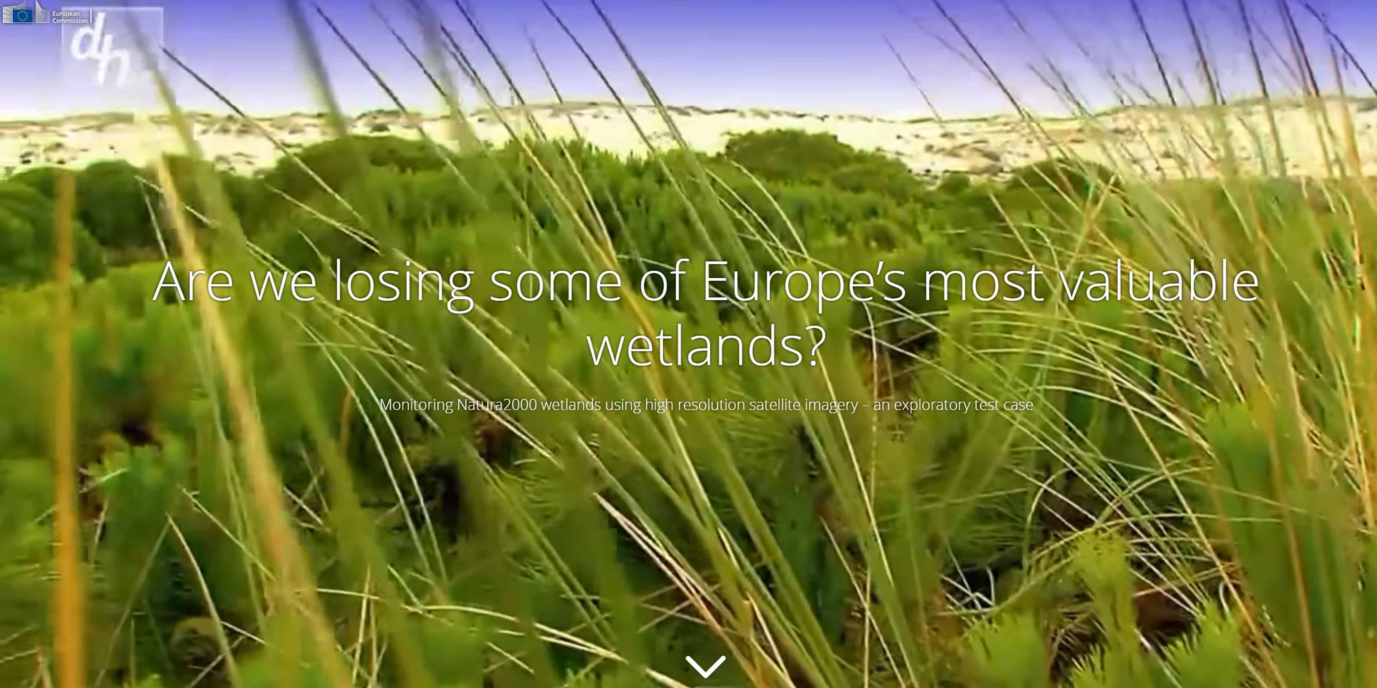 Feature image news European wetlands